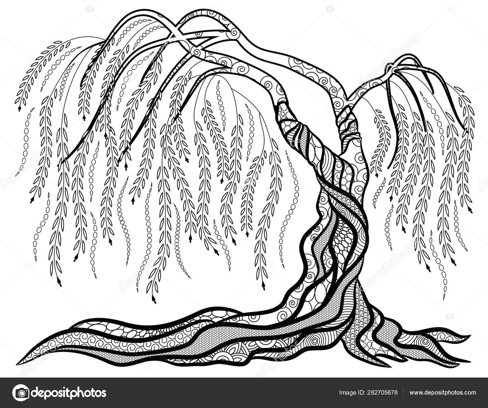 Weeping Willow Tree Coloring Page Stock Illustration by ©smk0473 #282705678