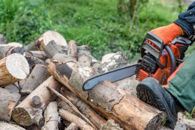 Adam testere odun kırmızı testere ile