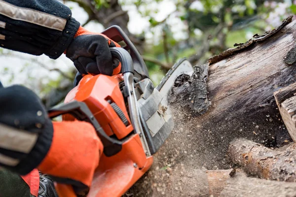 Man Saws Firewood Red Chainsaw — Stock Photo, Image