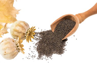 Tohum pods ve yaprakları, üzerinde beyaz izole ile taze haşhaş tohumu