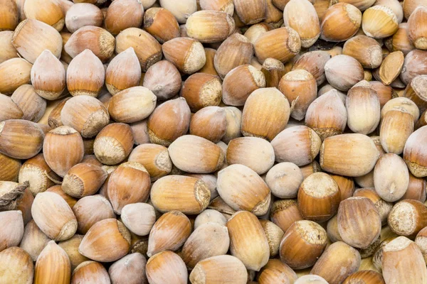 Arkaplan olarak doldurulan birçok kahverengi fındık biçimi