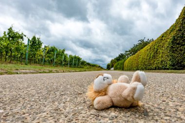 Çocukların oyuncakları sokakta yalan söylüyorsun