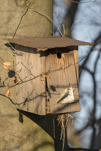Old homemade bird nesting box hangs broken on a tree