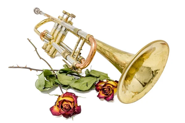 Oude verroeste trompet met gedroogde rozen geïsoleerd op wit — Stockfoto