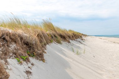 Kum tepeleri, çim, su ve gökyüzü ile Alman Baltık Denizi kıyısı