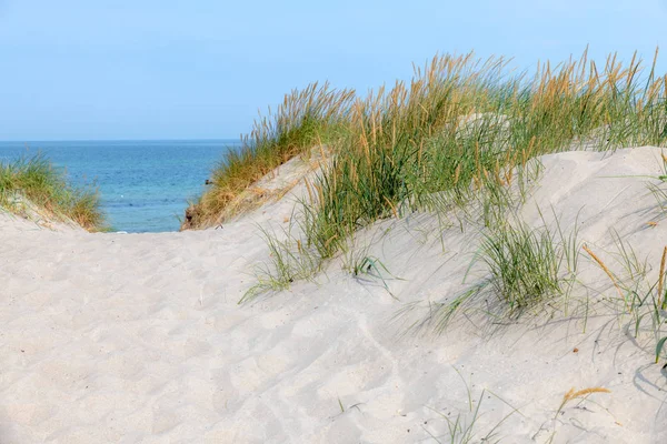 German Baltic Sea coast with sand dunes, grass, water and sky