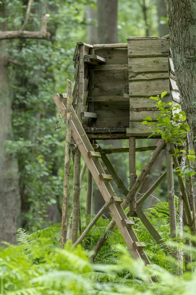 Cacciatore alto posto ai margini del bosco di fronte a un prato con sfondo verde — Foto Stock