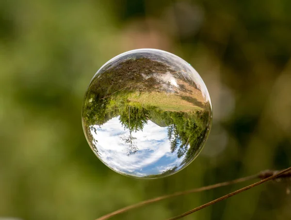 Glass ball floats between blades of grass with mirrored trees and cloudy sky