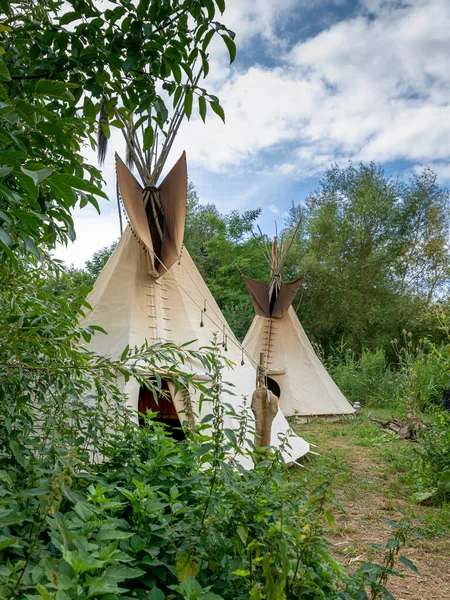 Két indiai tipi áll egy mezőn fák és bokrok között. — Stock Fotó