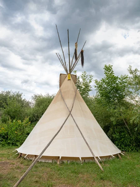 Tył indiańskiego tipi stoi na łące między drzewami i krzewami. — Zdjęcie stockowe