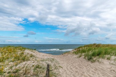 Kum tepeleri, çim, su ve mavi gökyüzü ile Alman Baltık Denizi kıyısı