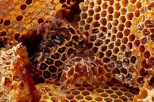 Honeycomb Rebanada Primer Plano Textura Detalle Horizontal Fondo —  Fotos de Stock