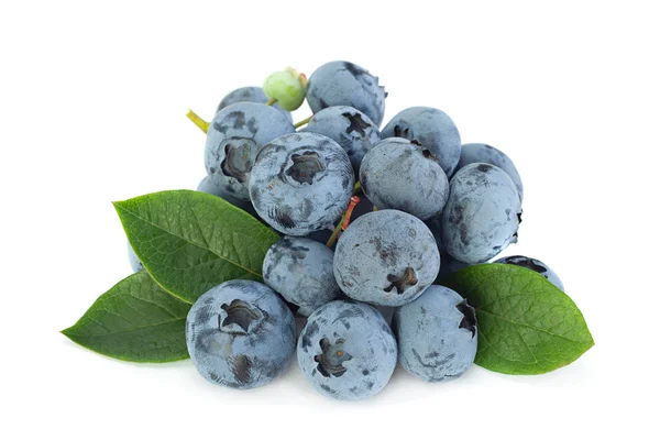 Blueberry Berry Close Geïsoleerd Witte Achtergrond — Stockfoto