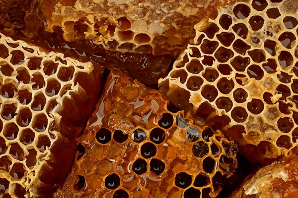 Honeycomb Rebanada Primer Plano Textura Detalle Horizontal Fondo —  Fotos de Stock