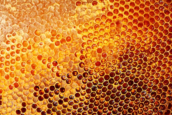 Yellow Honeycomb Closeup Texture Detail Horizontal Background — Stock Photo, Image