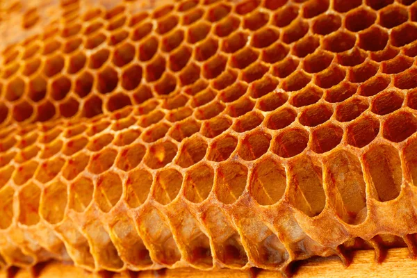 Poziome Tle Wszystko Tekstura Zbliżenie Honeycomb Żółty — Zdjęcie stockowe