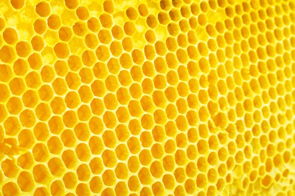 Gele Honingraat Close Texture Detail Horizontale Achtergrond — Stockfoto