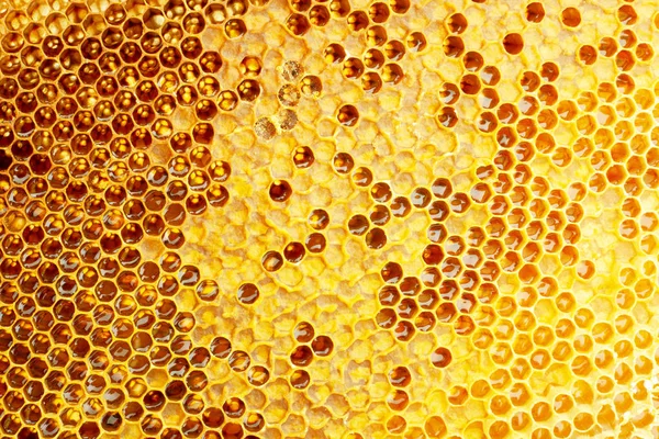 Yellow Honeycomb Closeup Texture Detail Horizontal Background — Stock Photo, Image