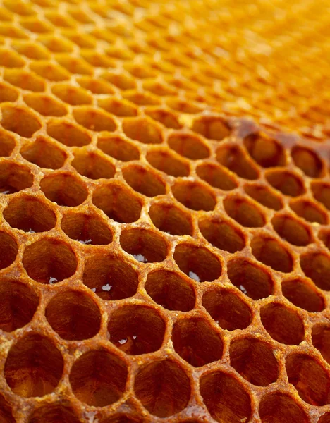 Poziome Tle Wszystko Tekstura Zbliżenie Honeycomb Żółty — Zdjęcie stockowe