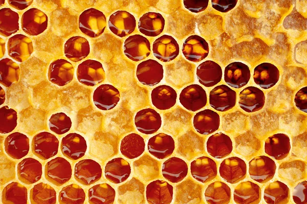 Amarillo Honeycomb Primer Plano Textura Detalle Horizontal Fondo —  Fotos de Stock