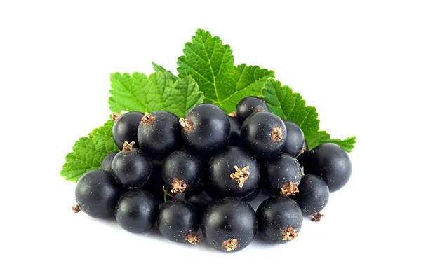 Fekete Ribizli Bogyós Gyümölcs Vértes Elszigetelt Fehér — Stock Fotó