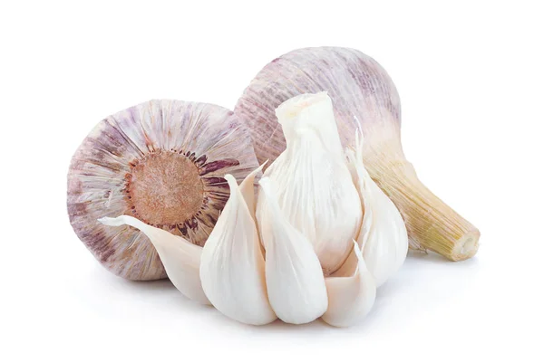 Young Big Garlic Closeup Isolated White Background — Stock Photo, Image