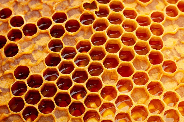 Yellow Honeycomb Closeup Texture Detail Horizontal Background — Stock Photo, Image