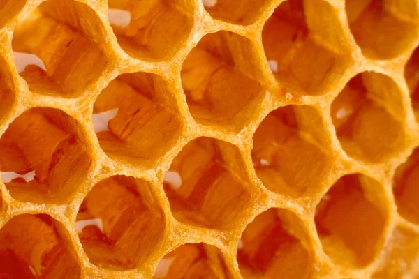 Yellow Honeycomb Closeup Texture Detail Horizontal Background — Stock Photo, Image