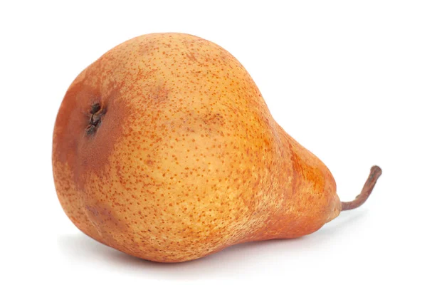 Brown Pear Closeup Terisolasi Pada Latar Belakang Putih — Stok Foto