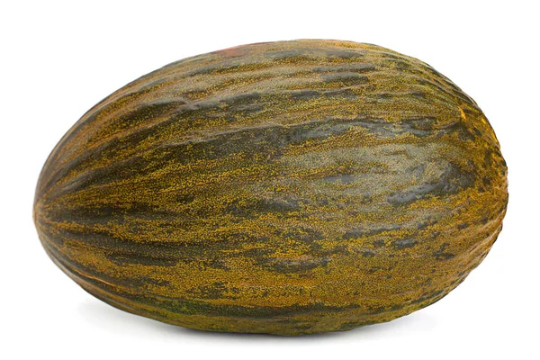 Spinish Melon Piel Sapo Auf Weißem Hintergrund — Stockfoto