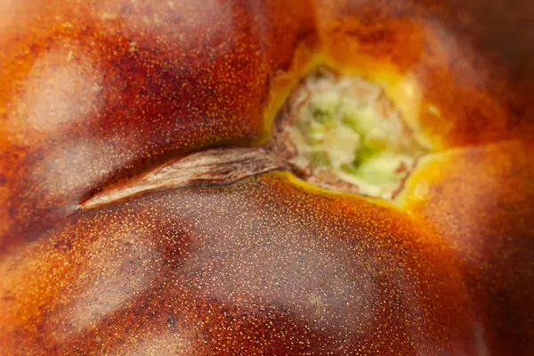 茶色の大きなトマト Colseup Idetail ビューの背景 — ストック写真