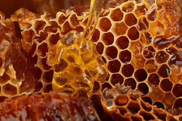 Honeycomb Rebanada Primer Plano Textura Detalle Horizontal Fondo —  Fotos de Stock