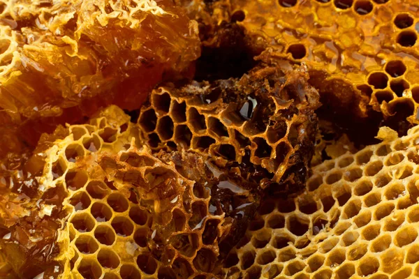 Honeycomb Rebanada Primer Plano Textura Detalle Horizontal Fondo —  Fotos de Stock