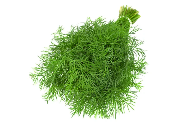 Dill Herb Bunch Isolated White Background — Stock Photo, Image