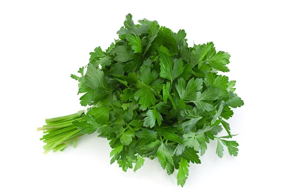 Parsley Herb Bunch Isolated White Background — Stock Photo, Image