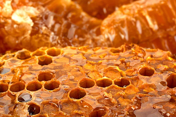 Méhsejt Szelet Closeup Textúra Részlet Vízszintes Háttér — Stock Fotó