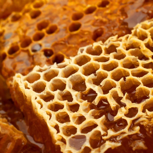 Honeycomb Rebanada Primer Plano Textura Detalle Horizontal Fondo — Foto de Stock