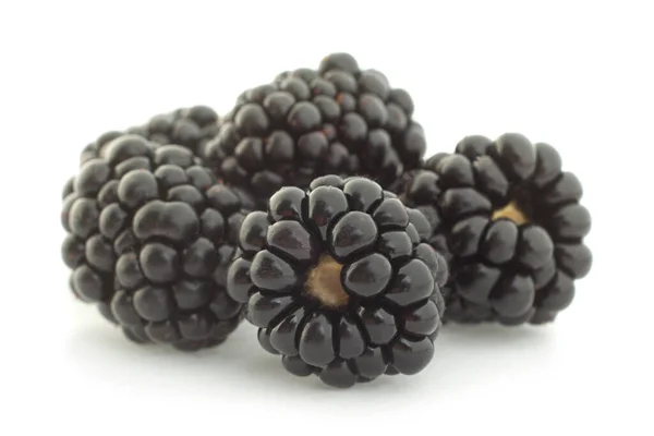 Blackberry Berry Closeup Isolated White Background — Stock Photo, Image