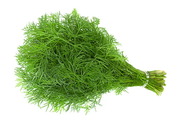 Dill Herb Bunch Isolated White Background — Stock Photo, Image