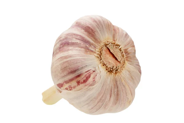 Garlic Vegetable Closeup Isolated White Background — Stock Photo, Image