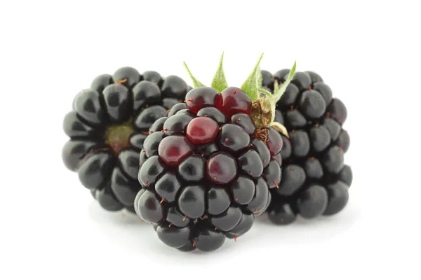 Blackberry Fruit Closeup Geïsoleerd Witte Achtergrond — Stockfoto