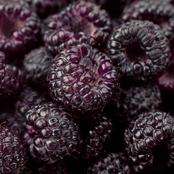 坎伯兰树莓 黑莓特写背景 — 图库照片