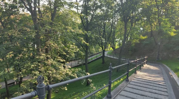 Escaliers Dans Verdure Parc — Photo