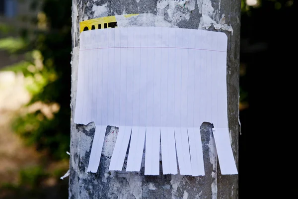 Papel blanco en blanco con lengüetas desgarradoras . — Foto de Stock