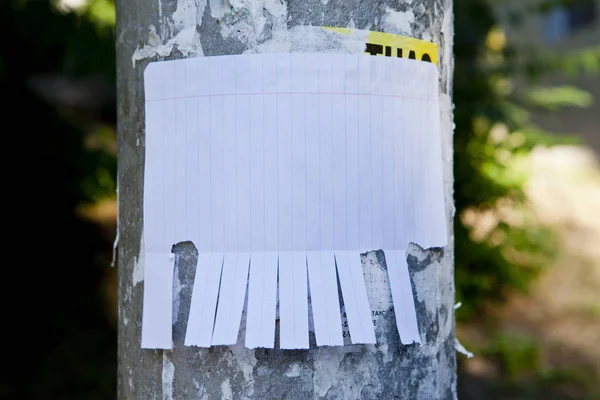 Blank white paper with tear off tabs. — Stock Photo, Image