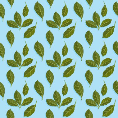 Yaprakları desen vektör çizim