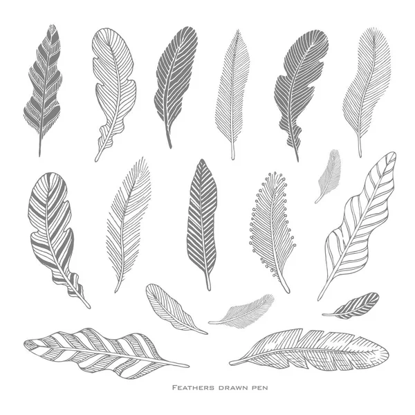 Set of hand-drawing black feathers — Stock Vector