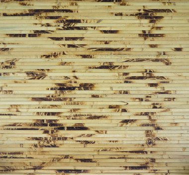 Bambu sopalarla arka plan olarak düzenlenmiş.