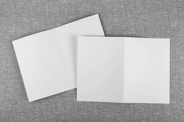 Kimlik Tasarımı Kurumsal Şablonlar Şirket Tarzı Kitapçıklar Boş Beyaz Katlama — Stok fotoğraf