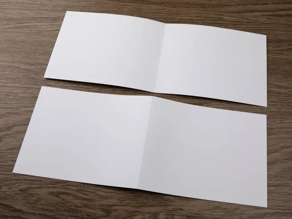 标识设计 公司模板公司风格设置的小册子 空白白色折叠纸传单 — 图库照片